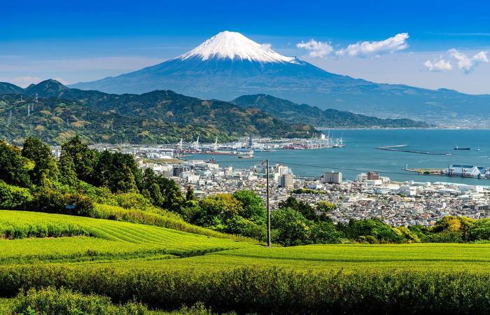 Shizuoka