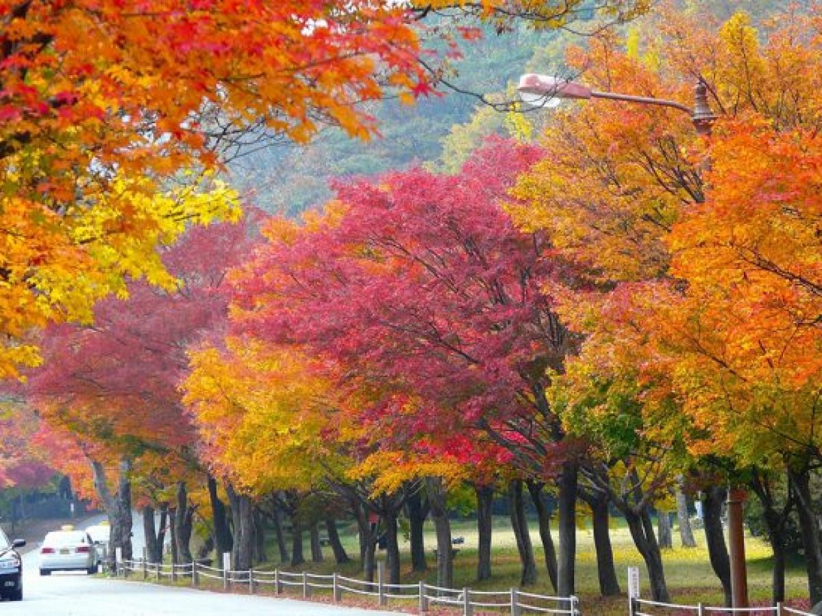 Songnisan & Bukhansan