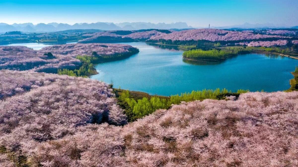 Vạn Mẫu Bình Bá