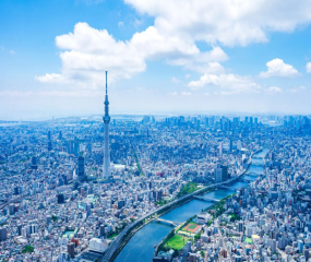 Giới thiệu tour Shizuoka – Núi Phú Sĩ – Tokyo