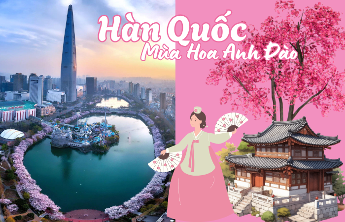 HÀ NỘI – SEOUL – NAMI – EVERLAND – HÁI DÂU– CÔNG VIÊN HOA ANH ĐÀO YEOUIDO - HÀ NỘI