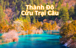 THÀNH ĐÔ - CỬU TRẠI CÂU - ĐÔ GIANG YỂN