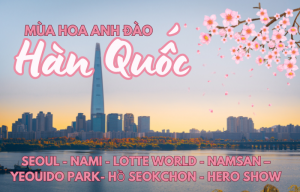 HÀ NỘI - SEOUL - NAMI - LOTTE WORLD - NAMSAN – YEOUIDO PARK- HỒ SEOKCHON - HERO SHOW