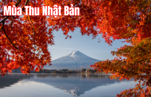 OSAKA - KYOTO - NAGOYA - PHÚ SĨ - TOKYO 