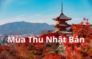 TOKYO - PHÚ SĨ - NAGOYA -  KYOTO - OSAKA 