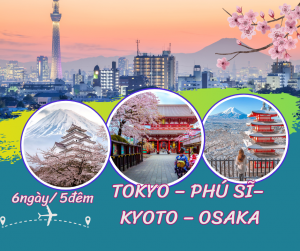 TOKYO - NÚI PHÚ SỸ - NAGOYA - KYOTO - OSAKA