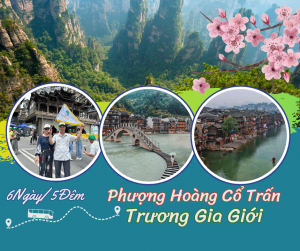 PHƯỢNG HOÀNG CỔ TRẤN  - TRƯƠNG GIA GIỚI ĐƯỜNG BỘ