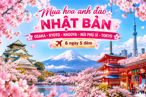 HÀ NỘI - OSAKA - KYOTO - PHÚ SĨ - TOKYO